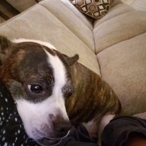 Meet your Posher, Lucia